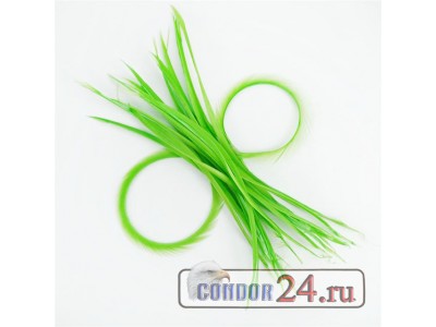 Гусиные биоты, цвет салатовый, уп. 5 шт.